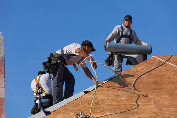 Best Flat Roof Repair Services  in USA